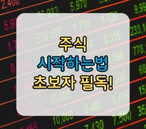 주식 시작하는법 초보자를 위한 커리큘럼