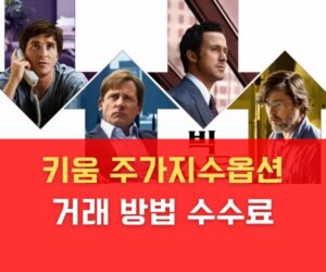 키움증권 주가지수옵션 거래 방법 수수료 키움증권 주가지수옵션 거래 방법 수수료