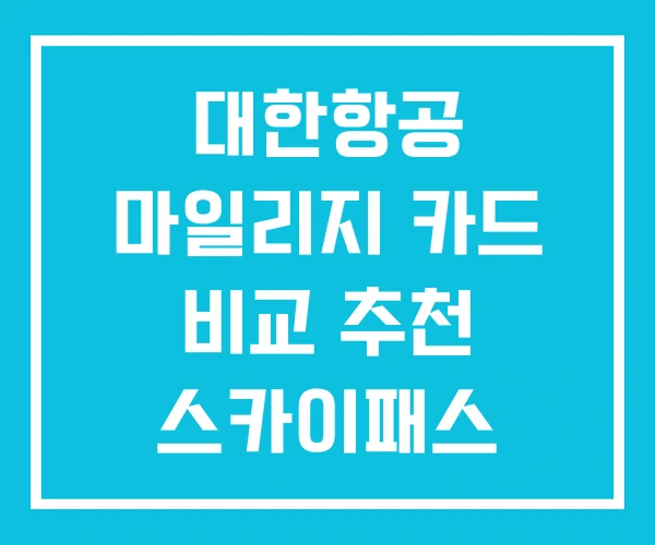 대한항공 마일리지 카드 비교 추천 스카이패스 대한항공 마일리지 카드 비교 추천 스카이패스
