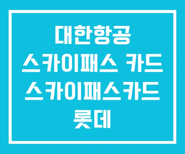 대한항공 스카이패스 카드 스카이패스카드 롯데 대한항공 스카이패스 카드 스카이패스카드 롯데
