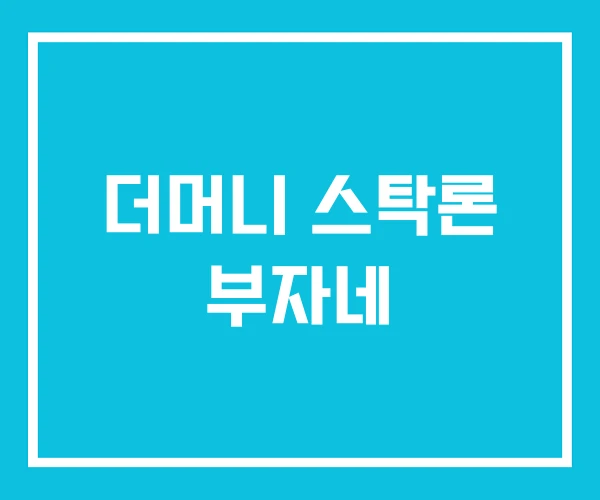 더머니 스탁론 부자네 더머니 스탁론 부자네