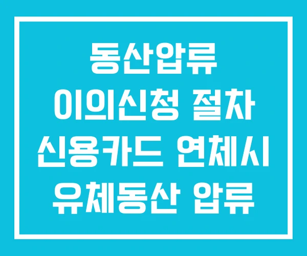 동산압류 이의신청 절차 신용카드 연체시 유체동산 압류 동산압류 이의신청 절차 신용카드 연체시 유체동산 압류