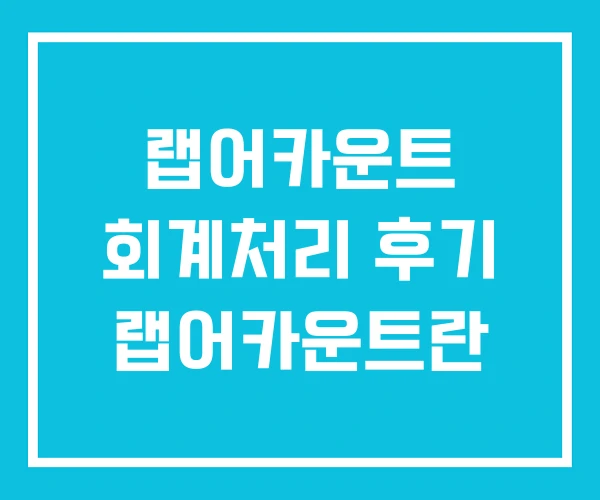 랩어카운트 회계처리 후기 랩어카운트란 랩어카운트 회계처리 후기 랩어카운트란