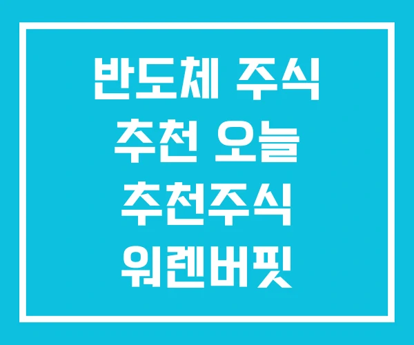 반도체 주식 추천 오늘 추천주식 워렌버핏 반도체 주식 추천 오늘 추천주식 워렌버핏