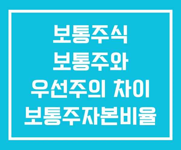 보통주식 보통주와 우선주의 차이 보통주자본비율 보통주식 보통주와 우선주의 차이 보통주자본비율