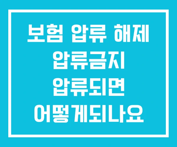 보험 압류 해제 압류금지 압류되면 어떻게되나요 보험 압류 해제 압류금지 압류되면 어떻게되나요