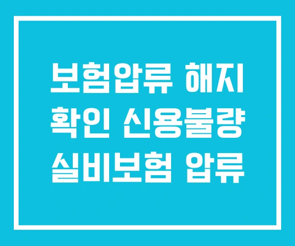 보험압류 해지 확인 신용불량 실비보험 압류 보험압류 해지 확인 신용불량 실비보험 압류