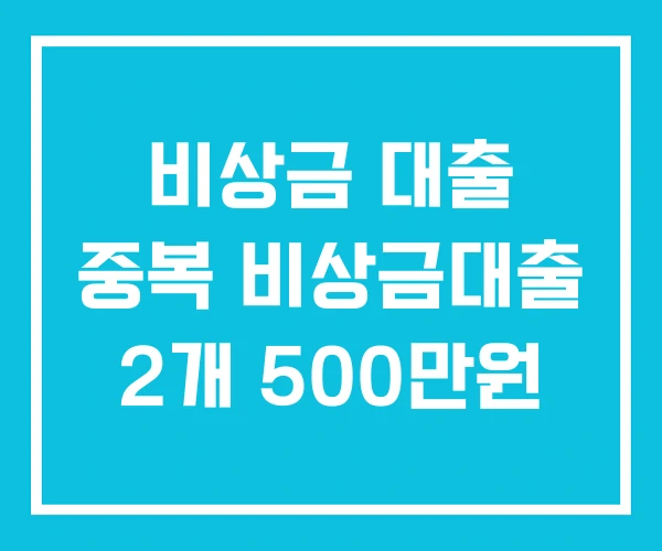 비상금 대출 중복 비상금대출 2개 500만원 비상금 대출 중복 비상금대출 2개 500만원