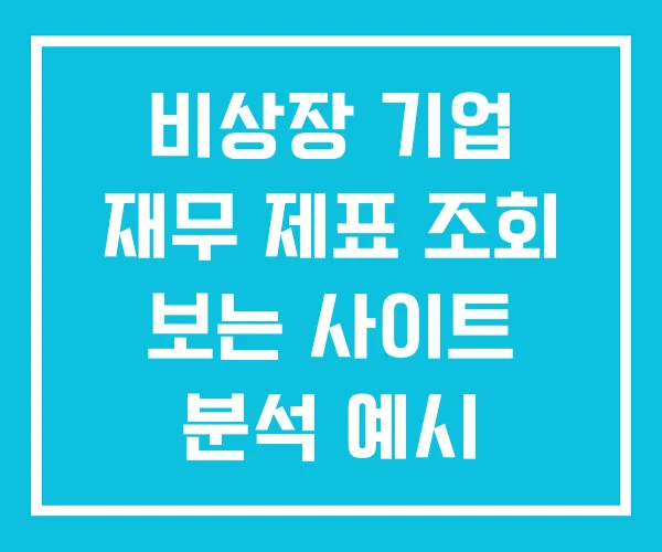 비상장 기업 재무 제표 조회 보는 사이트 분석 예시 비상장 기업 재무 제표 조회 보는 사이트 분석 예시