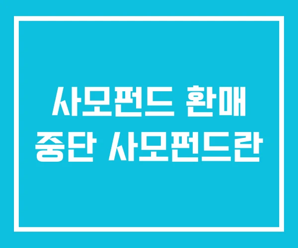 사모펀드 환매 중단 사모펀드란 사모펀드 환매 중단 사모펀드란