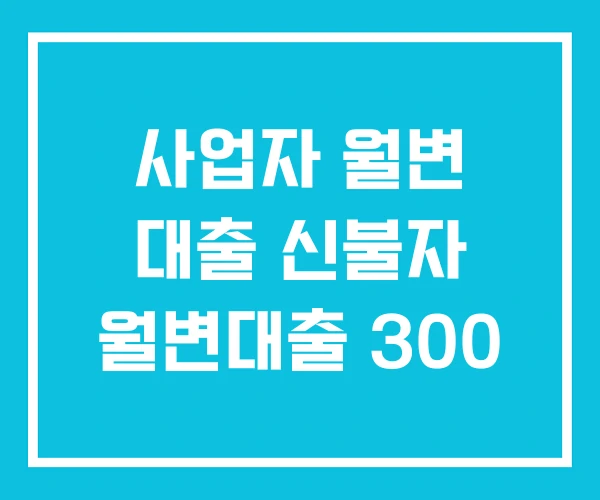 사업자 월변 대출 신불자 월변대출 300 사업자 월변 대출 신불자 월변대출 300