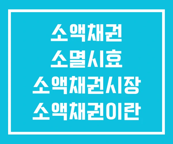 소액채권 소멸시효 소액채권시장 소액채권이란 소액채권 소멸시효 소액채권시장 소액채권이란