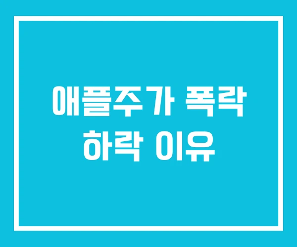 애플주가 폭락 하락 이유 애플주가 폭락 하락 이유