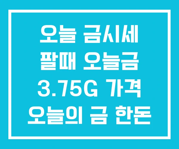 오늘 금시세 팔때 오늘금 3.75G 가격 오늘의 금 한돈 오늘 금시세 팔때 오늘금 3.75G 가격 오늘의 금 한돈