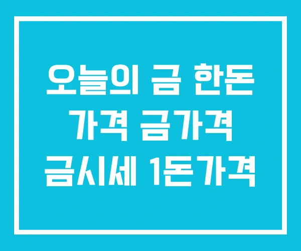 오늘의 금 한돈 가격 금가격 금시세 1돈가격 오늘의 금 한돈 가격 금가격 금시세 1돈가격