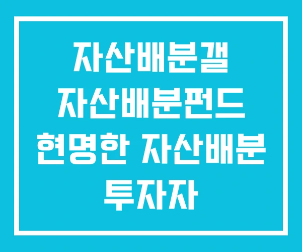 자산배분갤 자산배분펀드 현명한 자산배분 투자자 자산배분갤 자산배분펀드 현명한 자산배분 투자자