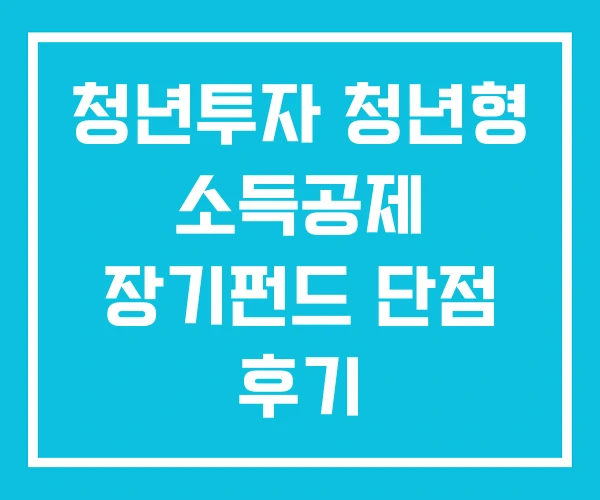청년투자 청년형 소득공제 장기펀드 단점 후기 청년투자 청년형 소득공제 장기펀드 단점 후기