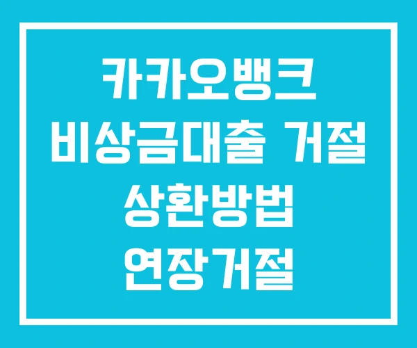 카카오뱅크 비상금대출 거절 상환방법 연장거절 카카오뱅크 비상금대출 거절 상환방법 연장거절